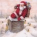 PAPSTAR Papírové ubrousky Down the Chimney 11286