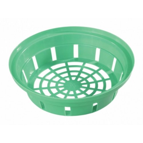 Prosperplast ONION plastový košík na cibuloviny 26cm, zelená IKCE3