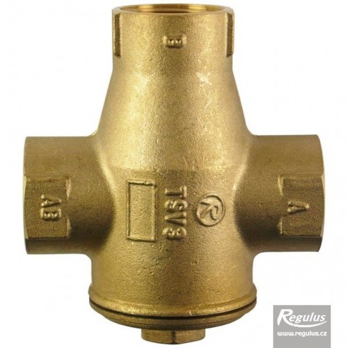 REGULUS Termostatický ventil TSV3B 55°C TSV3B DN25 55°C