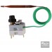 REGULUS 95H110R09/04756 Termostat havarijní 90-110°C, kapilára 1,5m 10740