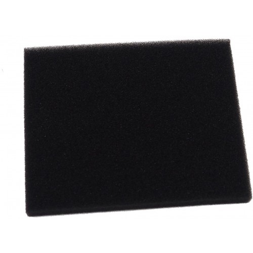 Riwall PRO Vzduchový filtr (pěnový / motor T6) 25300120000