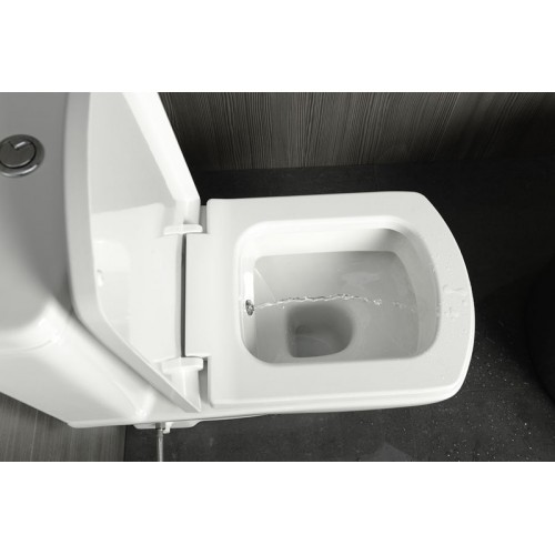 SAPHO BASIC WC mísa kombi s integrovanou bidetovou sprškou, spodní/zadní odpad 71122340