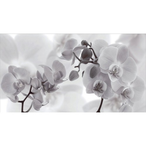 SAPHO DESERT Decor Fiore Negro keramická obkládačka 27x50 DST019