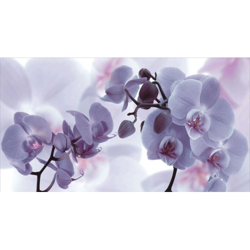 SAPHO DESERT Decor Fiore Lila keramická obkládačka 27x50 DST021