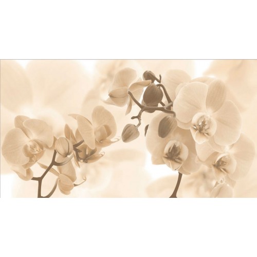 SAPHO DESERT Decor Fiore Tierra keramická obkládačka 27x50 DST022 SAPHO DESERT Decor Fiore Tierra keramická obkládačka 27x50 DST022