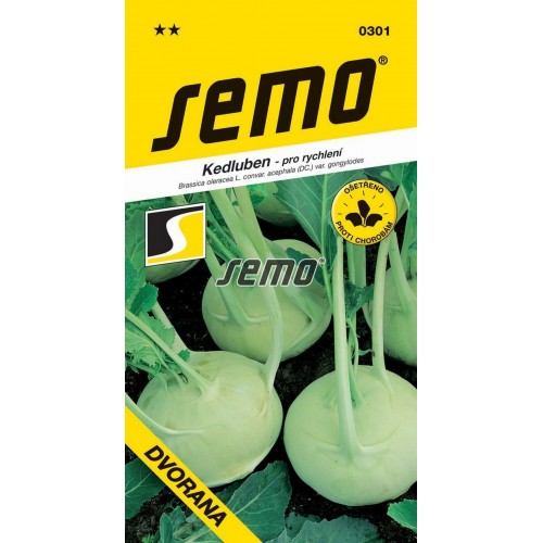 SEMO Kedluben DVORANA - bílý 0301