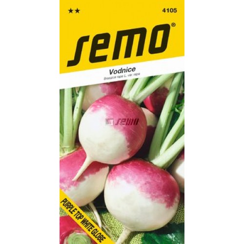 SEMO Vodnice PURPLE TOP WHITE GLOBE 4105