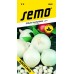 SEMO Cibule obecná AGOSTANA - bílá 0502