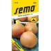 SEMO Cibule obecná DAGMAR 0528
