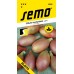 SEMO Cibule obecná ELISTA - podlouhlá 0533