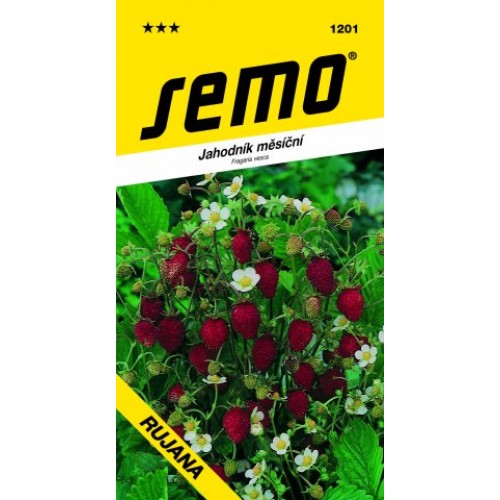 SEMO Jahodník RUJANA 12019 SEMO Jahodník RUJANA 12019