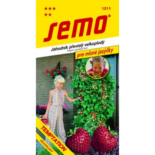 SEMO Jahodník TEMPTATION 1211 PO EXPIRACI!!!!