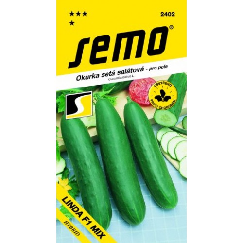 SEMO Okurka salátová LINDA F1 MIX 2402