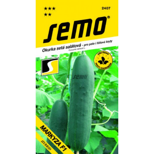 SEMO Okurka salátová MARKYZA F1 24079 SEMO Okurka salátová MARKYZA F1 24079
