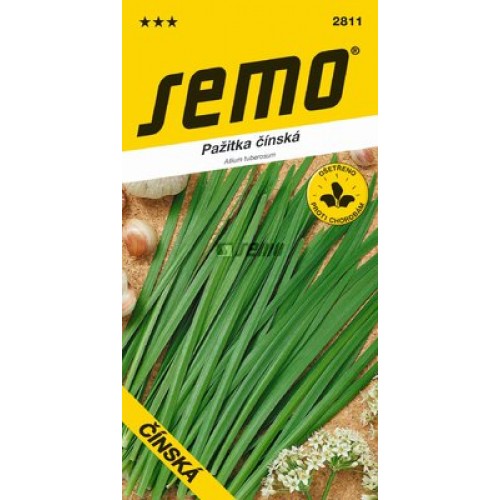 SEMO Pažitka ČÍNSKÁ (Allium tuberosum) 28119