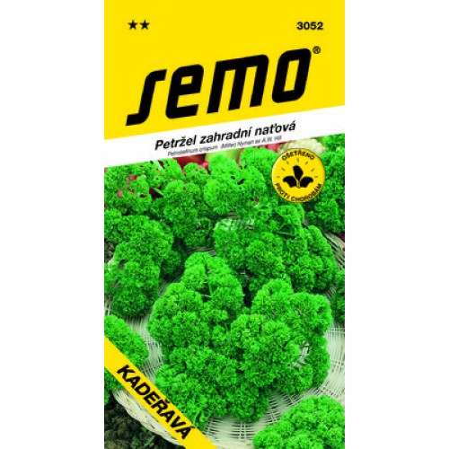 SEMO Petržel naťová kadeřavá KADEŘAVÁ 30529