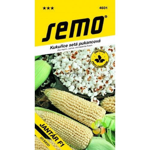 SEMO Kukuřice setá pukancová JANTÁR F1 46019 SEMO Kukuřice setá pukancová JANTÁR F1 46019
