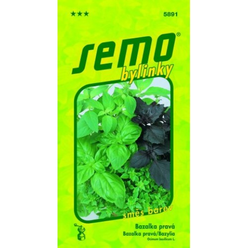 SEMO Bazalka pravá SMĚS BAREV 58919
