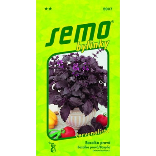 SEMO Bazalka pravá PURPLE OPAAL 59079