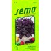 SEMO Bazalka pravá PURPLE OPAAL 59079