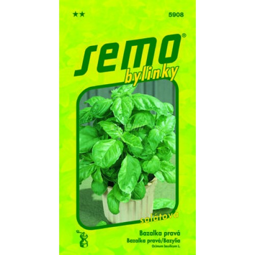 SEMO Bazalka pravá LETTUCE LEAF 59089 SEMO Bazalka pravá LETTUCE LEAF 59089