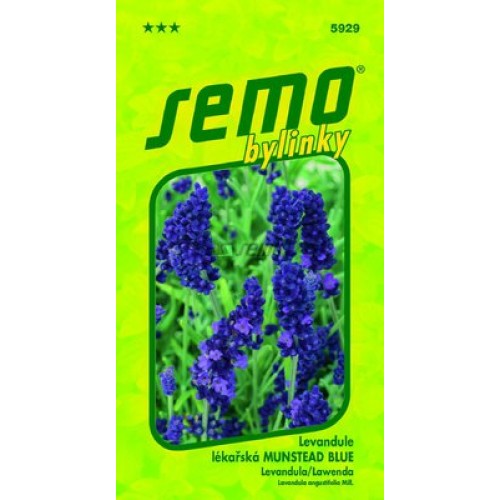 SEMO Levandule lékařská LEVANDULE MUNSTEAD BLUE 5929