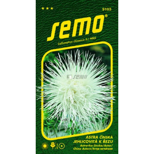 SEMO Astra čínská ELECTRIC BÍLÁ 91039