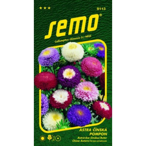 SEMO Astra čínská POMPON SMĚS 9113