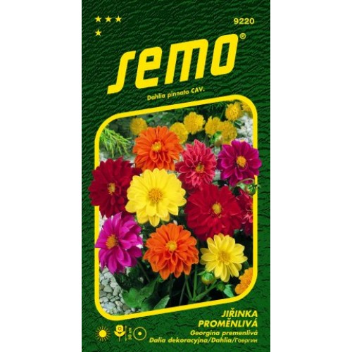 SEMO Jiřinka proměnlivá KOMPAKT SMĚS 9220