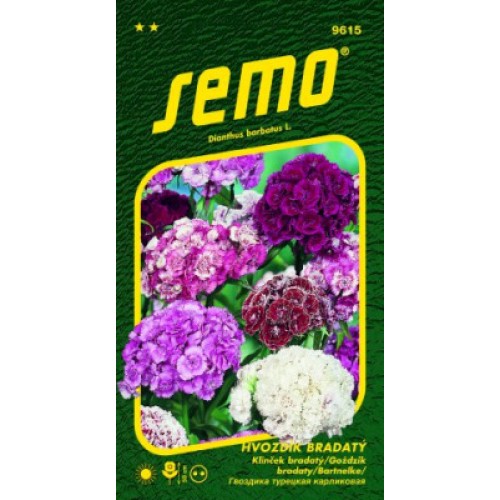 SEMO Hvozdík bradatý SMĚS 9225 SEMO Hvozdík bradatý SMĚS 9225