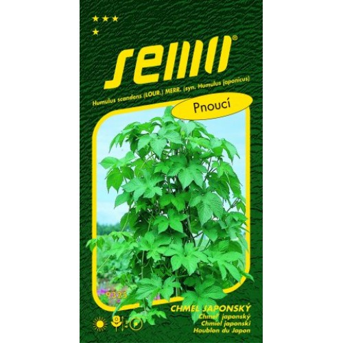 SEMO Chmel japonský HUMULUS 93259 SEMO Chmel japonský HUMULUS 93259