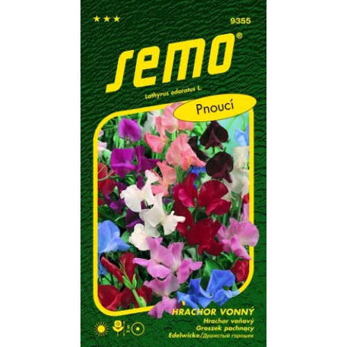 SEMO Hrachor vonný SPENCER 9355
