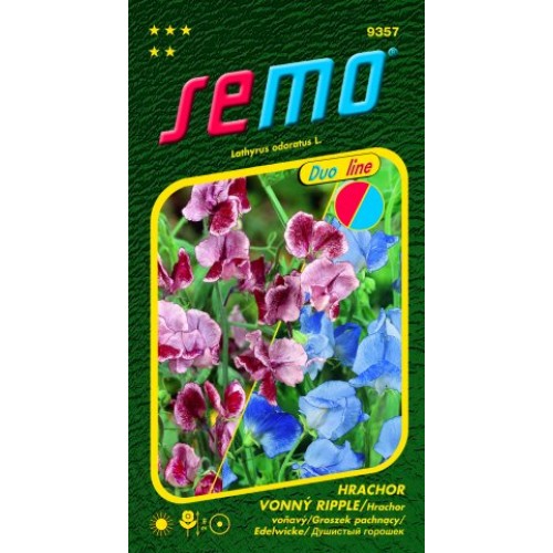 SEMO Hrachor vonný CRIMSON AND BLUE RIPPLE 93579