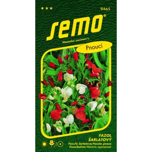 SEMO Fazol šarlatový ČERVENOBÍLÝ 9465