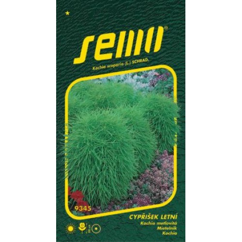 SEMO Cypřišek letní KOCHIE 9345