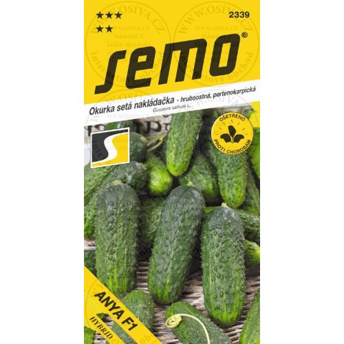SEMO Okurka nakládačka DAFNE F1 (SM 5340) - hrubost 23382