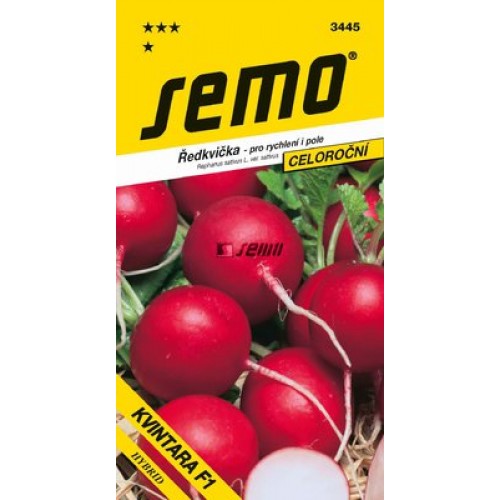 SEMO Ředkvička KVINTARA F1 - celoroční 3445