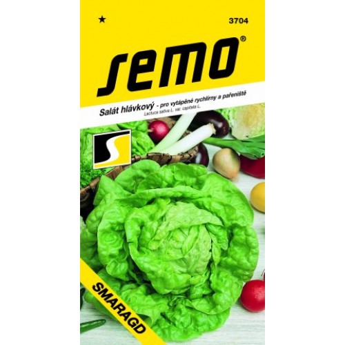 SEMO Salát hlávkový SMARAGD 3704 SEMO Salát hlávkový SMARAGD 3704