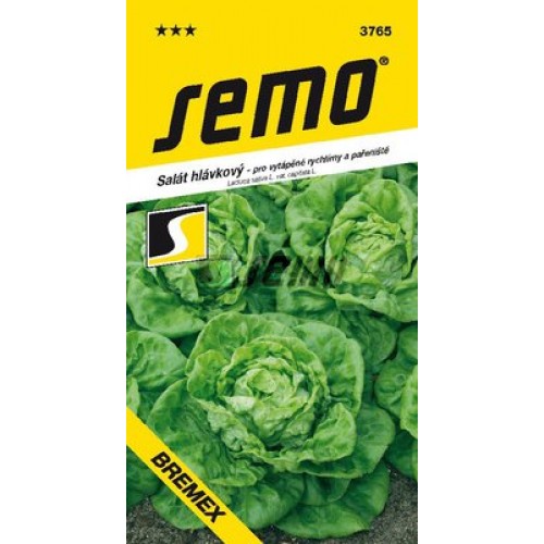 SEMO Salát hlávkový BREMEX 3765 SEMO Salát hlávkový BREMEX 3765