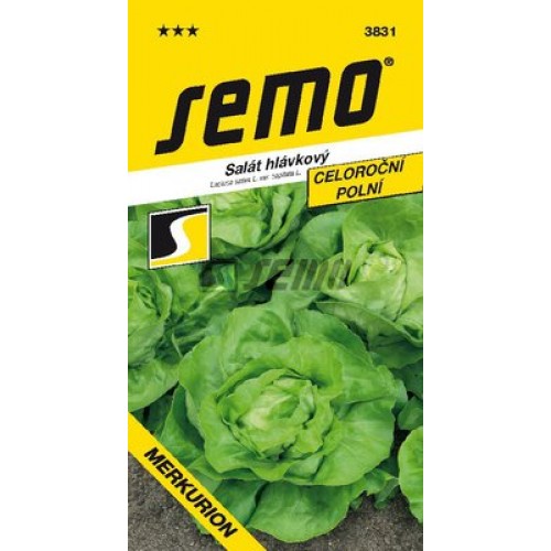 SEMO Salát hlávkový MERKURION 3831