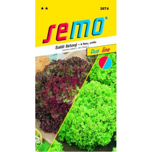 SEMO Salát listový SMĚS LOLO 3874