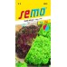 SEMO Salát listový SMĚS LOLO 3874
