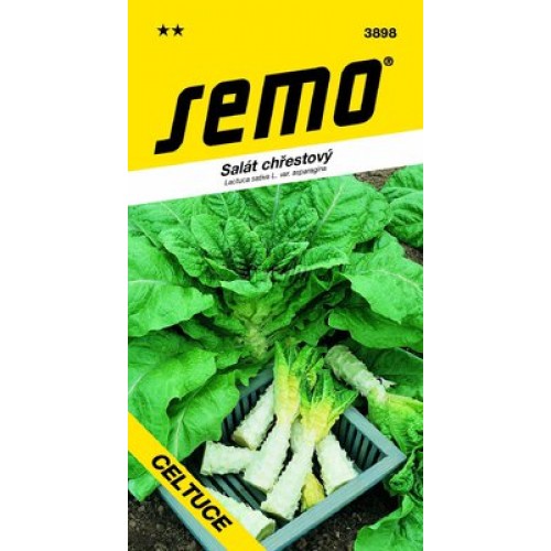 SEMO Salát chřestový CELTUCE 3898 SEMO Salát chřestový CELTUCE 3898
