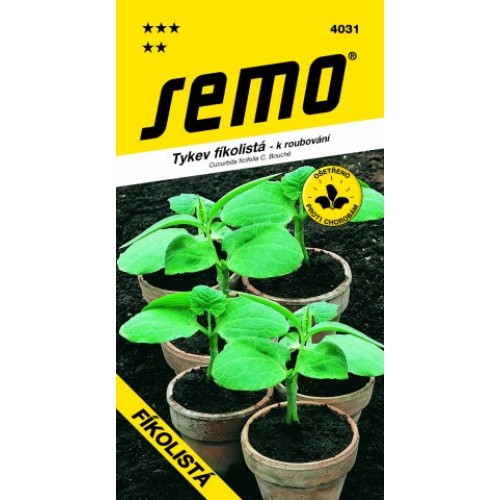 SEMO Tykev FÍKOLISTÁ - podnož 4031