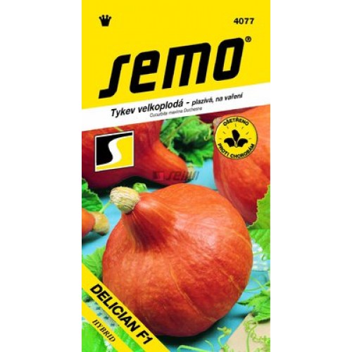 SEMO Tykev Hokkaido DELICIAN F1 4077 SEMO Tykev Hokkaido DELICIAN F1 4077