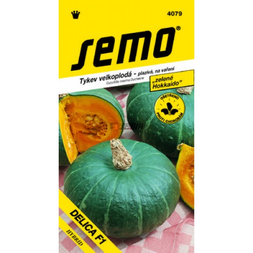 SEMO Tykev Hokkaido DELICA F1 4079