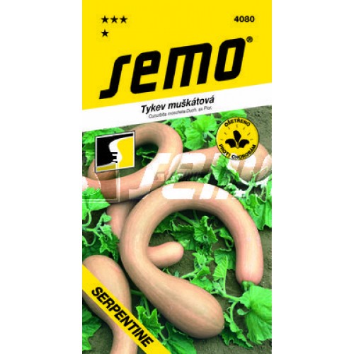 SEMO Tykev muškátová SERPENTINE 4080