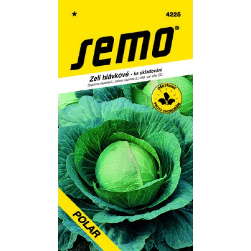 SEMO Zelí hlávkové pozdní POLAR 4225
