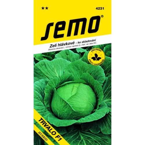 SEMO Zelí hlávkové pozdní TRVALO F1 4231 SEMO Zelí hlávkové pozdní TRVALO F1 4231