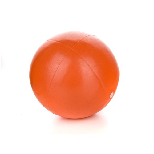 SPORTWELL Mini ball 25 cm, assort 52LS3225-25 SPORTWELL Mini ball 25 cm, assort 52LS3225-25
